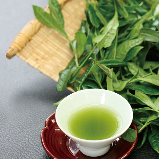 茶寮つぼ市製茶本舗 新茶 POP-UP SHOP